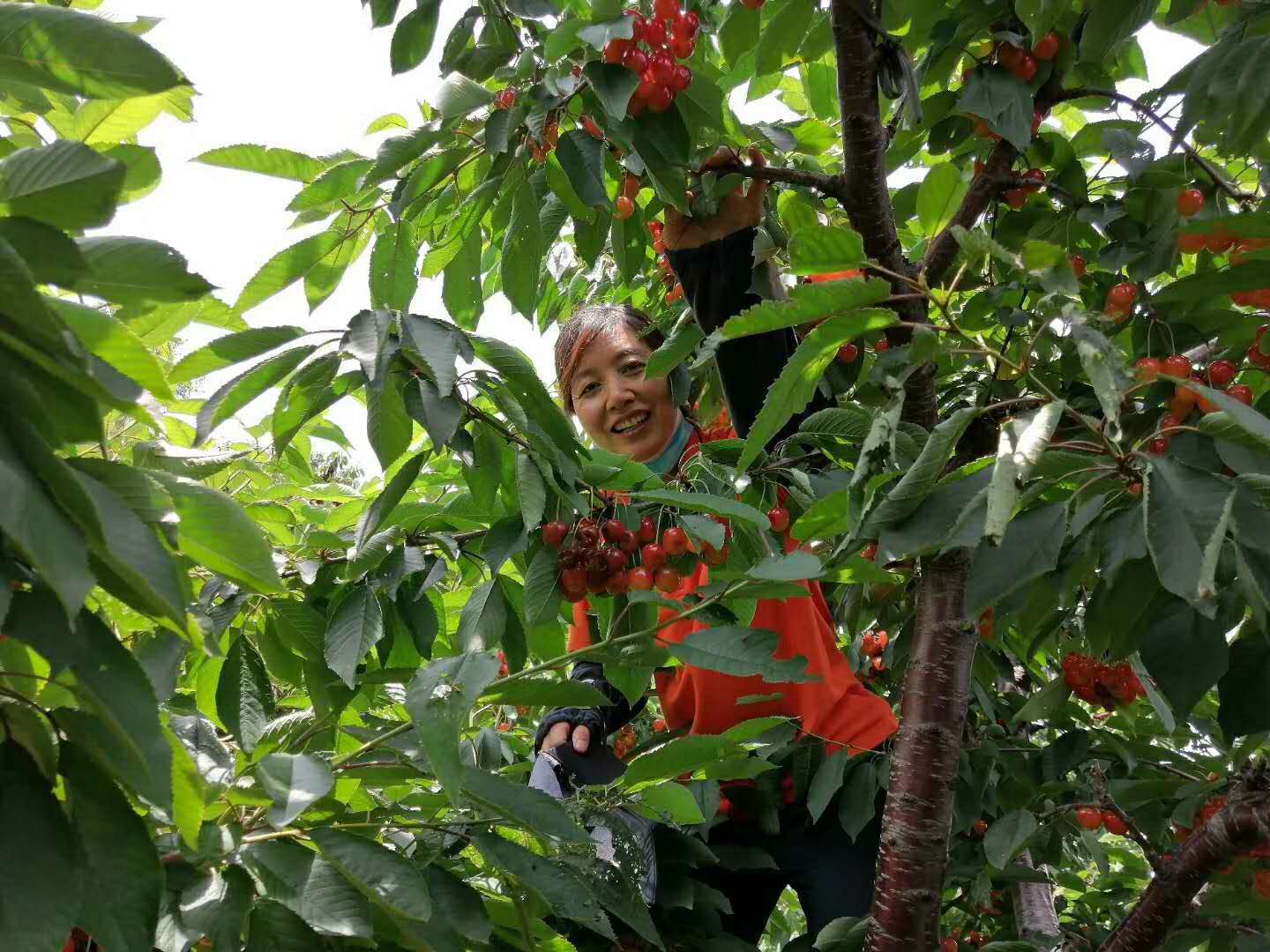 1592355136737352.jpg 1592355136737352.jpg